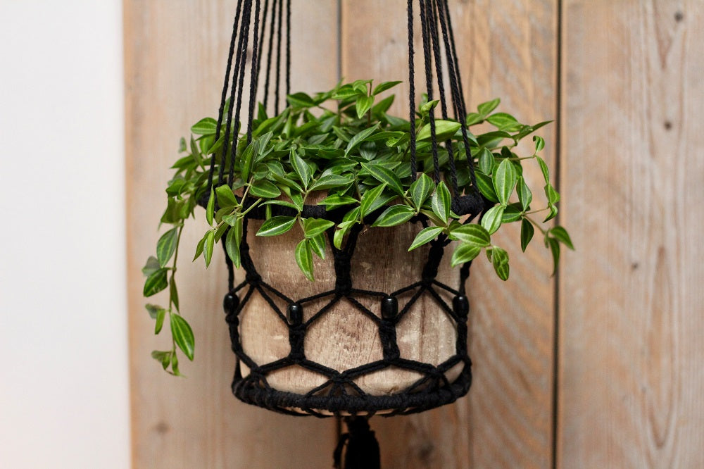 Hanging flower basket