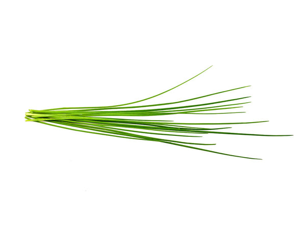 Chives Plant Pods 9-pack